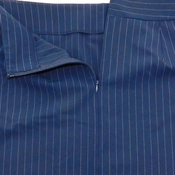 NWT Rafaella 2-Way Stretch Blue Pin-Striped Skirt - Picture 4 of 7